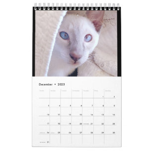 Calendário Siamese Cats Calendar