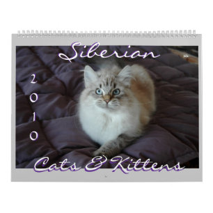 Calendário Siberian dos gatos & dos gatinhos 2010