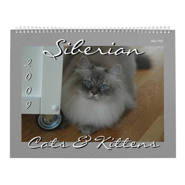 Calendário Siberian dos gatos e dos gatinhos 09 (Capa)