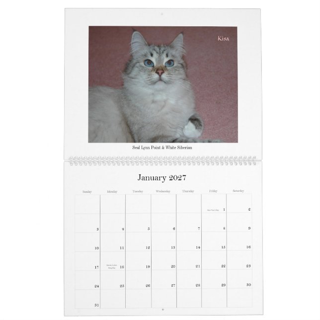 Calendário Siberian Final2 dos gatos e dos (Jan 2027)