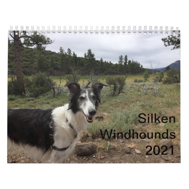Calendário Silken Windhounds 221 Adultos 1 (Capa)