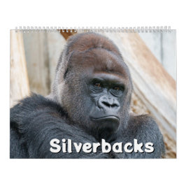 Calendário Silverback 2026