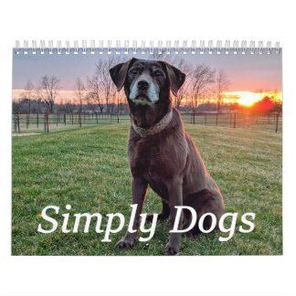 Calendário Simply Dogs