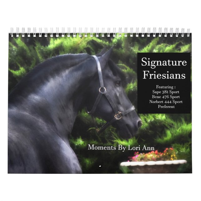 Calendário Sinal de Estalhões Frísia (Capa)