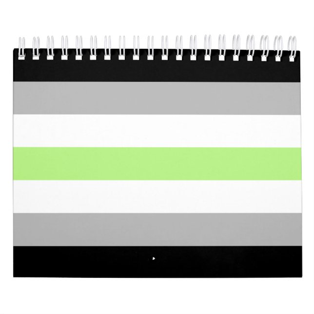 Calendário Sinalizador de Ordenamento do Agender (Capa)