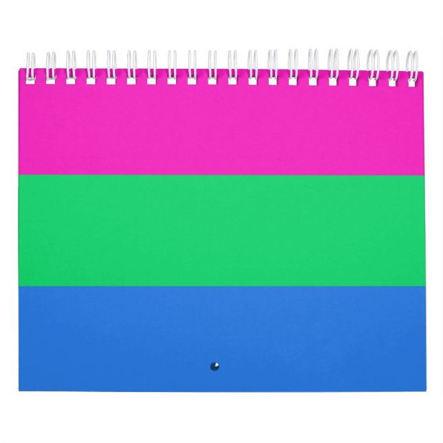 Calendário Sinalizador do Orgulho Polisexual (Capa)