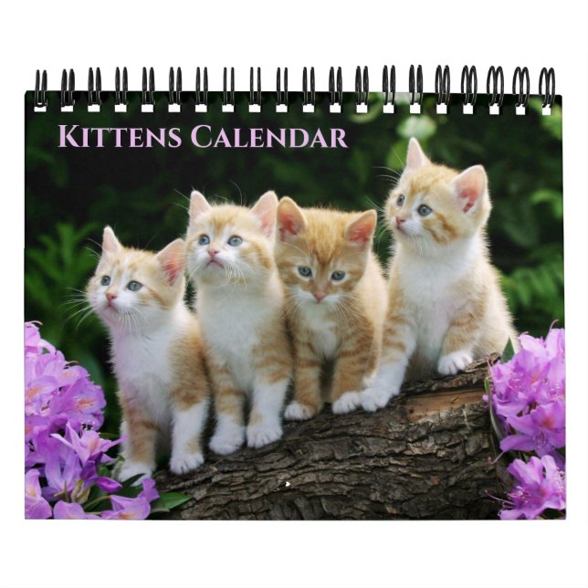 Calendário Small Size Kittens Calendar (Capa)