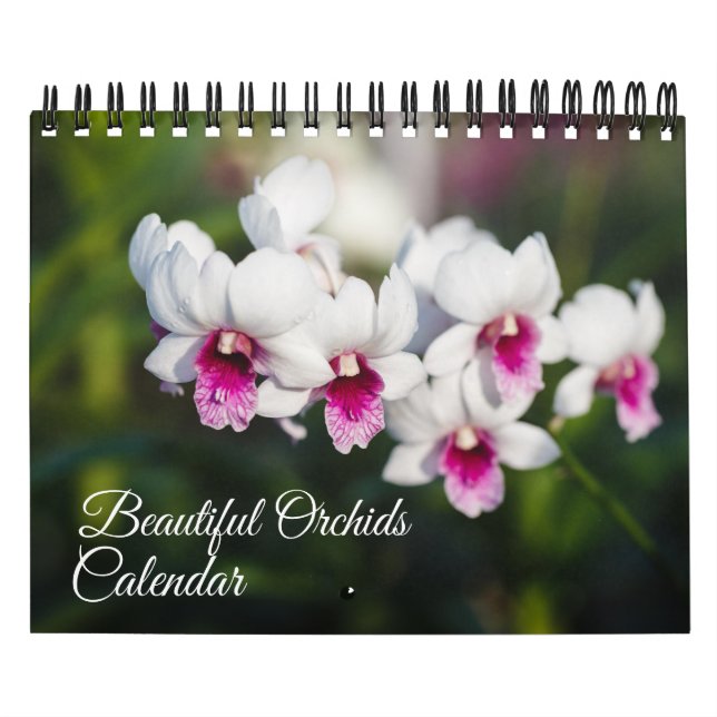 Calendário Small Size Orchids Calendar (Capa)