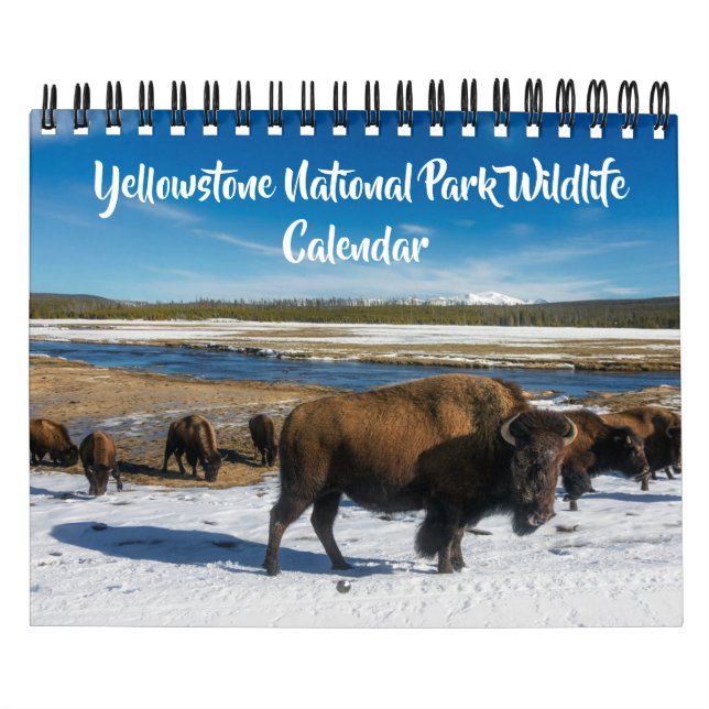 Calendário Small Size Yellowstone Calendar-Wildlife Calendar (Capa)