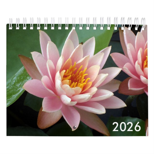Calendário Small Water Lilies Calendar 2026 (Capa)