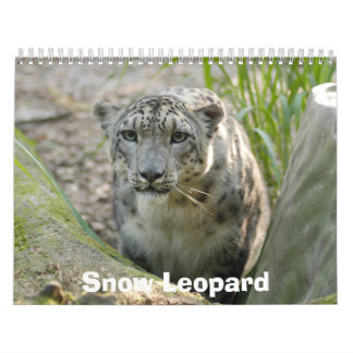 Calendário SnowLeopardBCR012, leopardo de neve