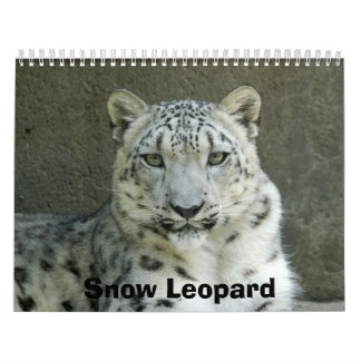 Calendário SnowLeopardM002, leopardo de neve