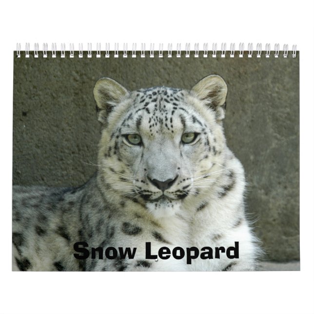 Calendário SnowLeopardM002, leopardo de neve (Capa)
