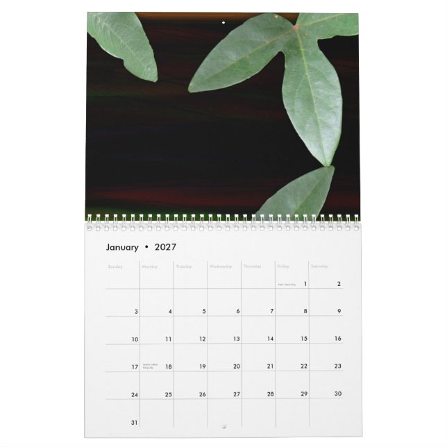 Calendário Sonhos florais 2009 (Jan 2027)