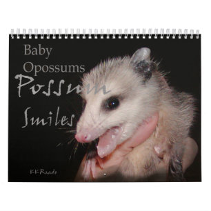 Calendário Sorrisos do gambá