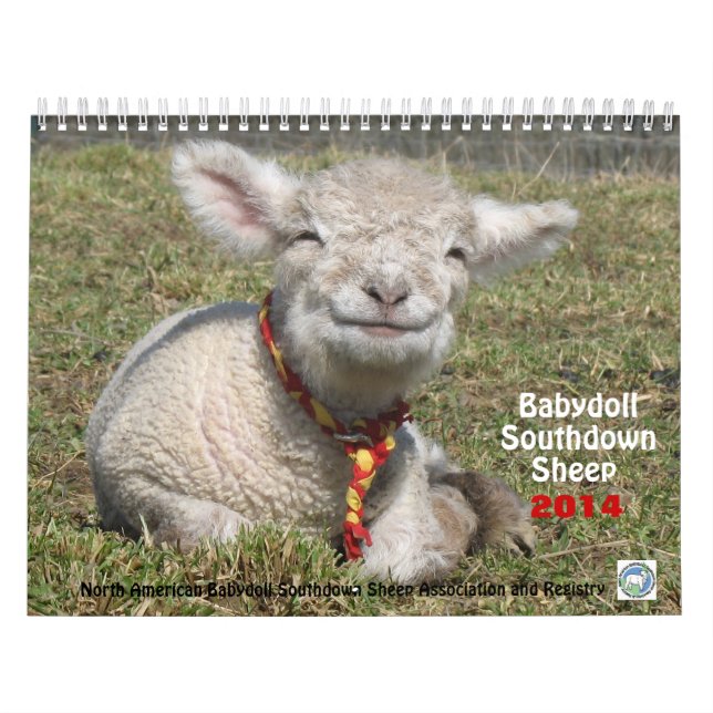 Calendário Southdown dos carneiros 2014 NABSSAR da (Capa)