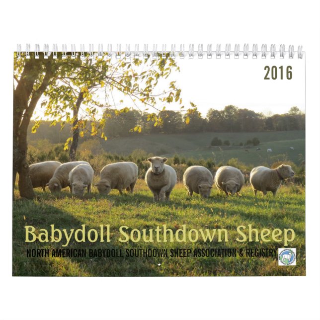 Calendário Southdown dos carneiros 2016 NABSSAR da (Capa)