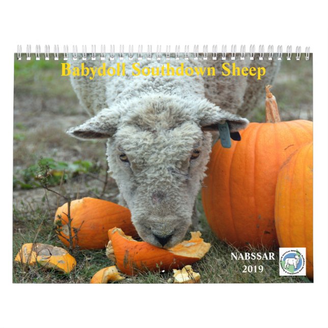 Calendário Southdown dos carneiros 2019 NABSSAR da (Capa)