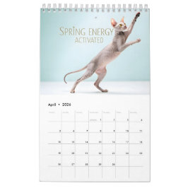 Calendário Sphynx Fala: Arte Mensal de Humor de Gato Editável