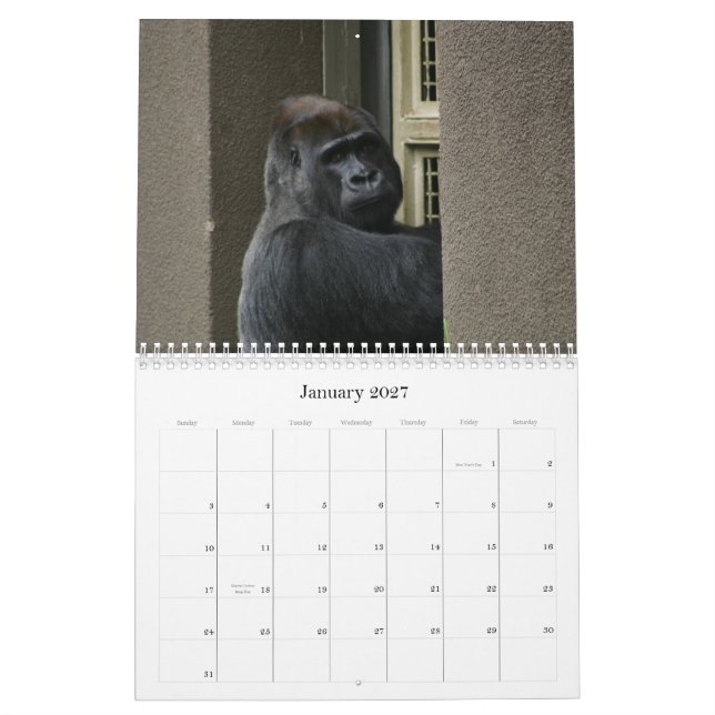 Calendário Sr. Silverback (Jan 2027)