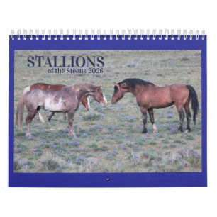 Calendário "Stallions" MustangWild 2026