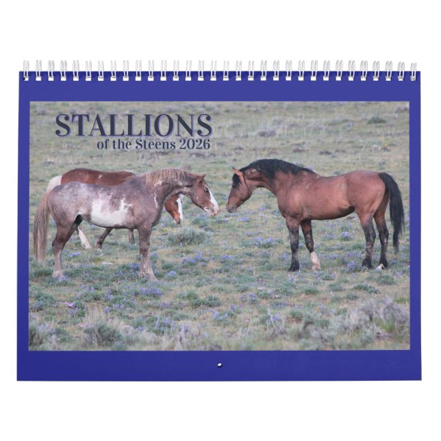 Calendário "Stallions" MustangWild 2026 Calendar (Capa)