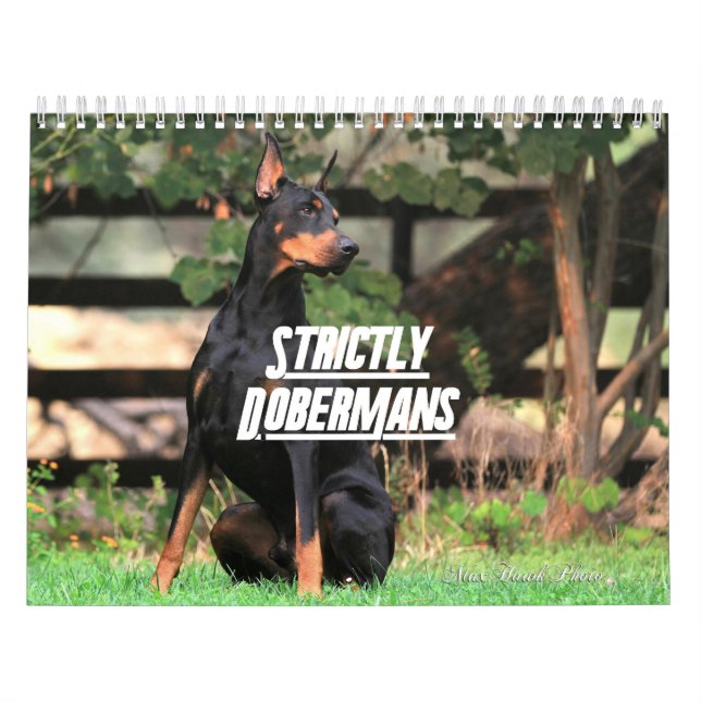 Calendário Strictly Dobermans Calendar 2026 (Capa)