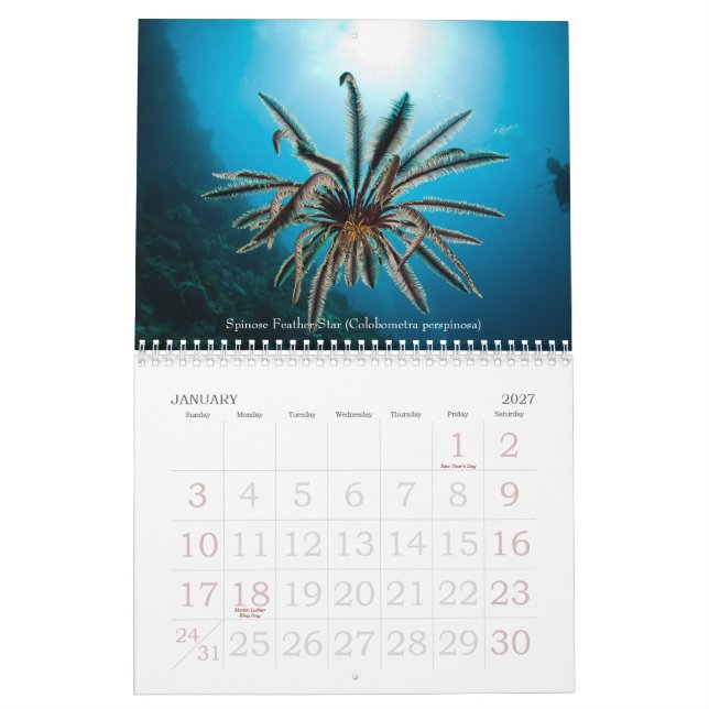 Calendário subaquático da vida marinha de 2012 (Jan 2027)