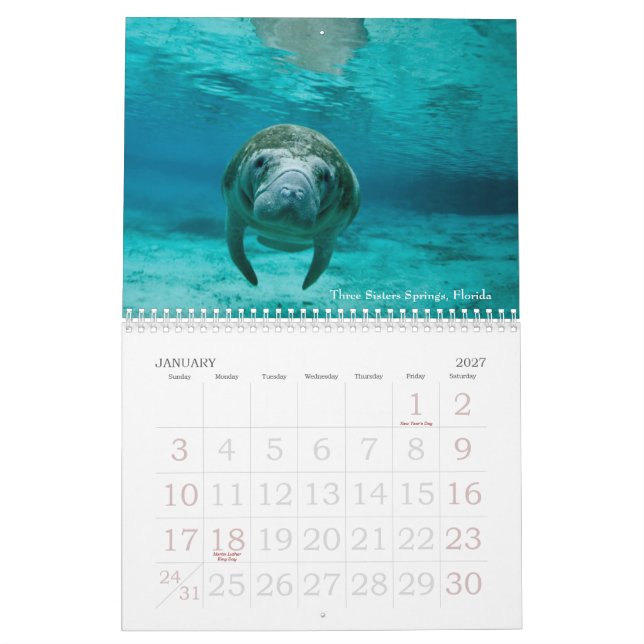 Calendário subaquático das viagens 2014 (Jan 2027)