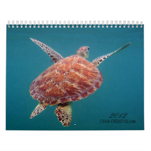 Calendário subaquático de Chan Chemuyil