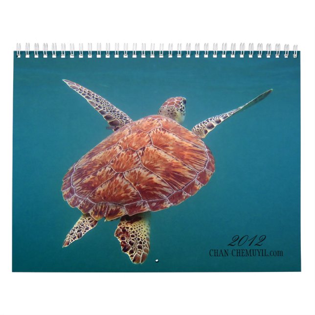 Calendário subaquático de Chan Chemuyil (Capa)