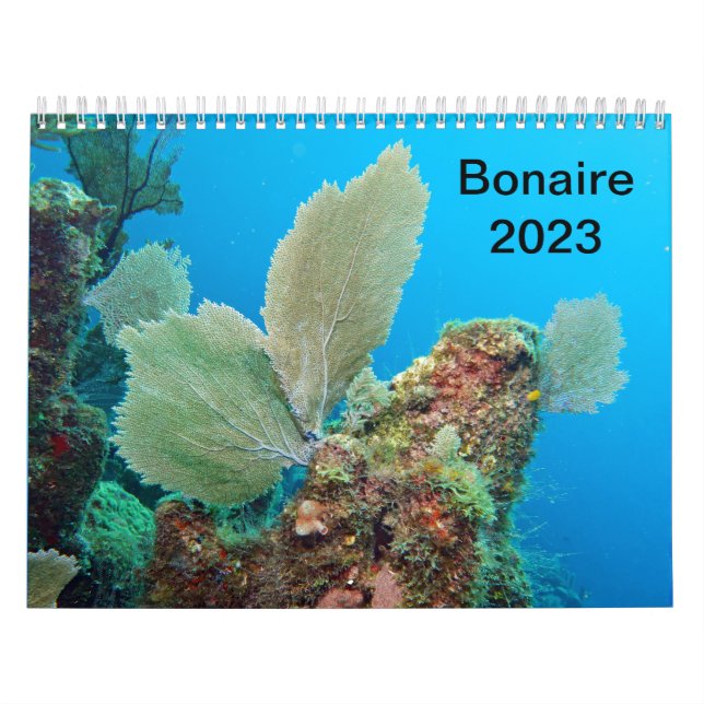 Calendário Submarino - Roatan, Honduras (Capa)