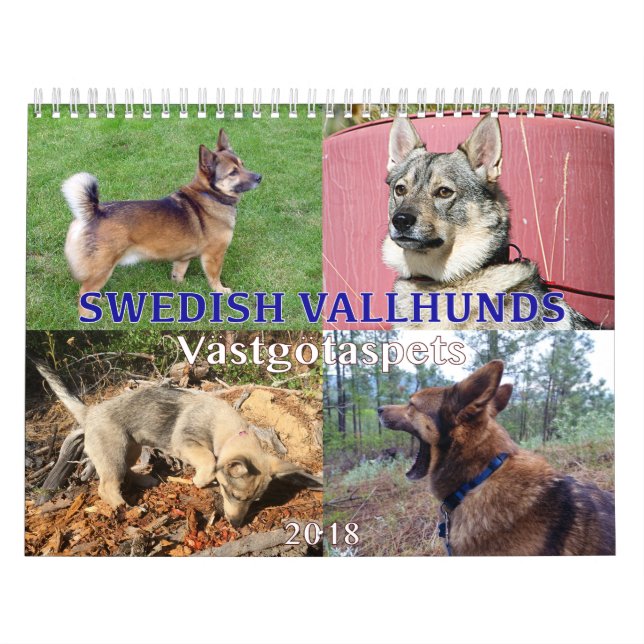Calendário Sueco Vallhund, Vastgotaspets, Callendar 2018 (Capa)