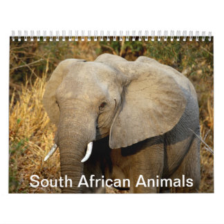 Calendário Sul - animais africanos