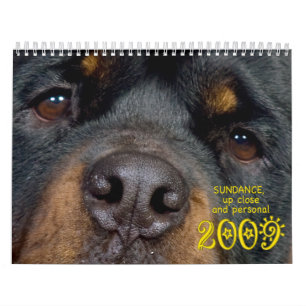 Calendário Sundance: Acima de próximo e de pessoal