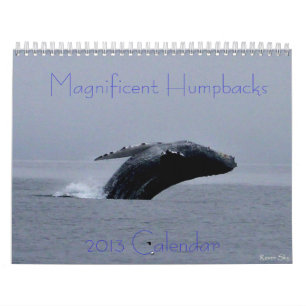 Calendário surpreendente da baleia de Humpback