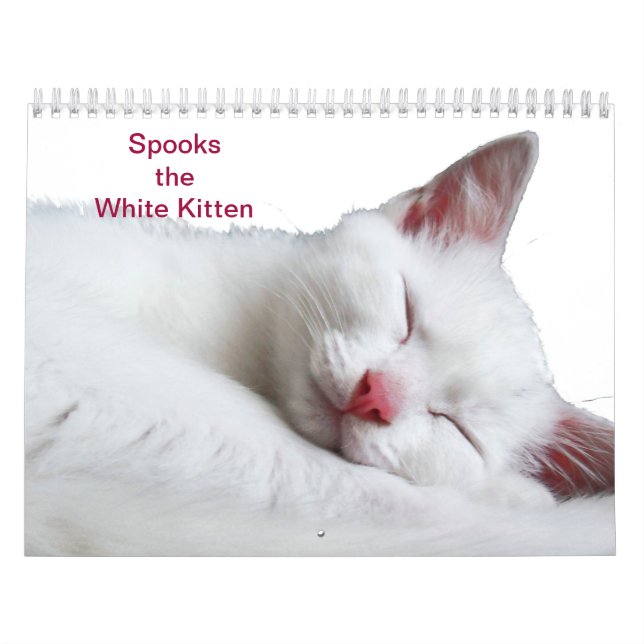 CALENDÁRIO SUSTOS O GATINHO BRANCO - CALLENDER (Capa)