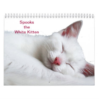 CALENDÁRIO SUSTOS O GATINHO BRANCO - CALLENDER
