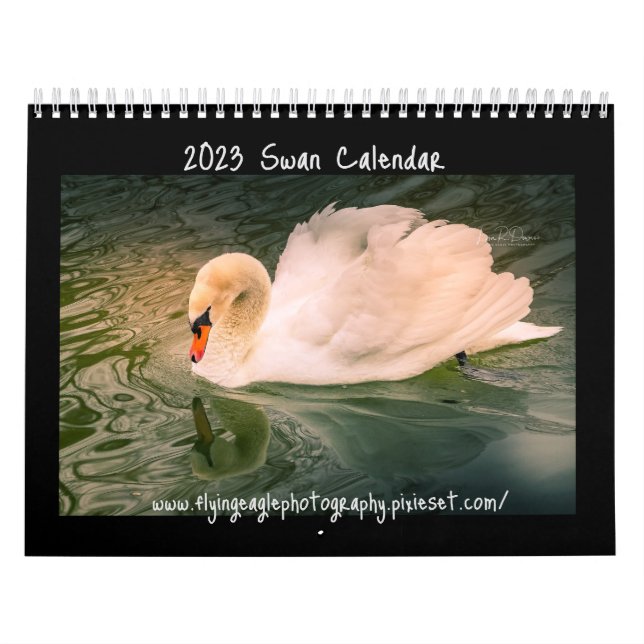 Calendário Swan 2023 (Capa)