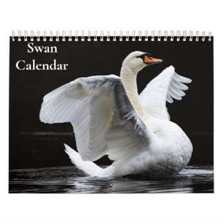 Calendário Swan 2025