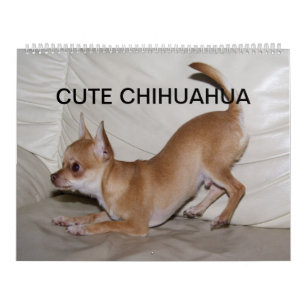 Calendário Sweet Little Chihuahua 2023