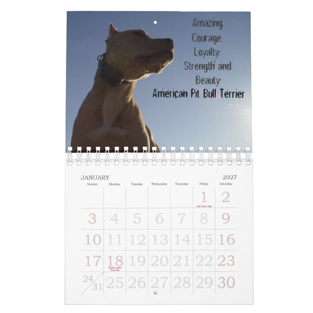 Calendário Sydney e Ziggi 2009 (Jan 2027)