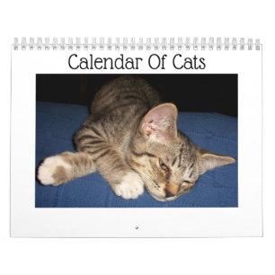 Calendário Tabby Cats