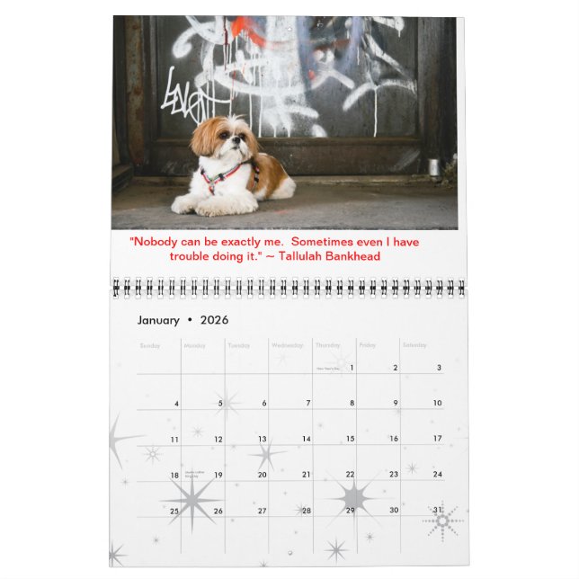 Calendário Tallulah Bean Calendar Cute Shih Tzu 2014 (Jan 2026)
