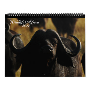 Calendário Tamanho enorme de 2011 animais africanos dos