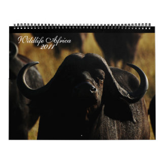 Calendário Tamanho enorme de 2011 animais africanos dos