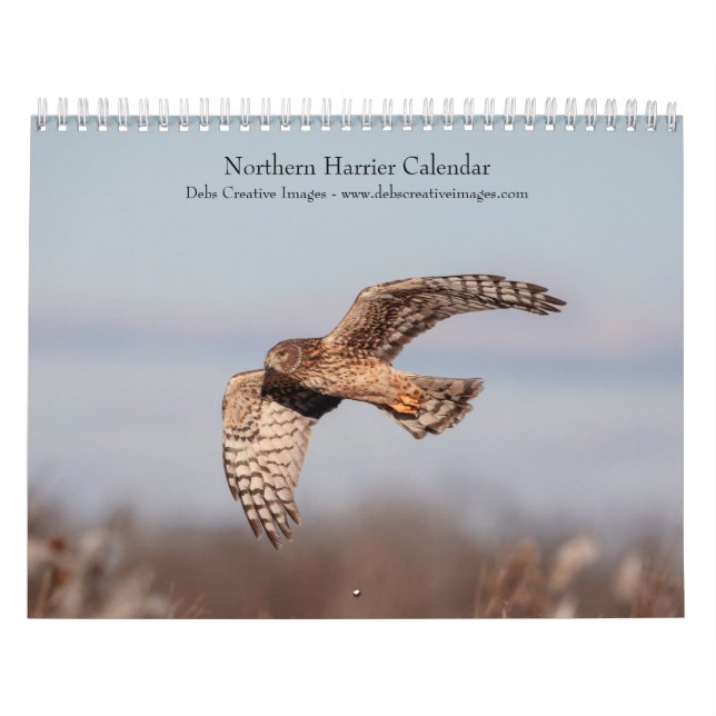 Calendário Tartaranhão-nortenho 2026 (Capa)