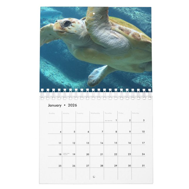 Calendário Tartaruga marinha (Jan 2026)