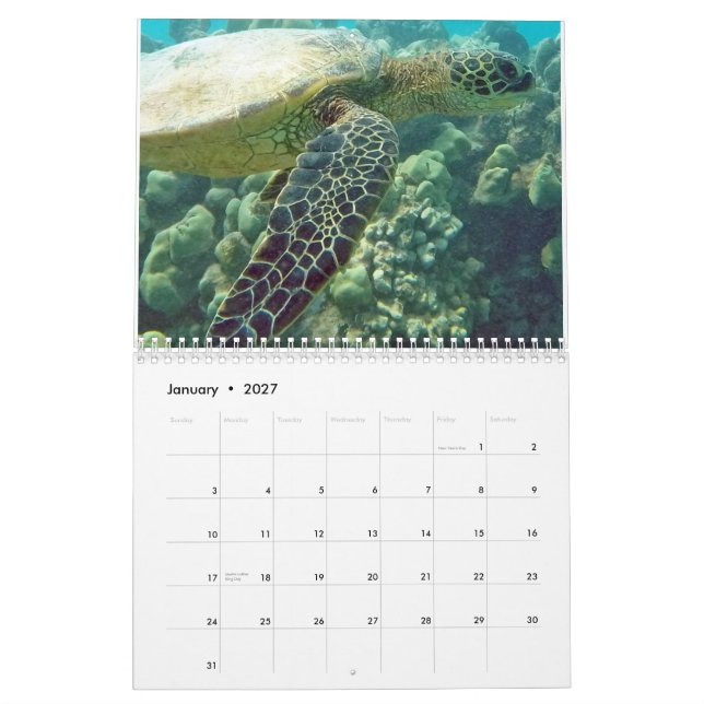 Calendário Tartarugas de Havaí (Jan 2027)
