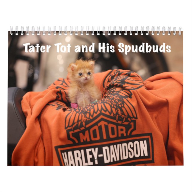 Calendário Tater Tot 2024 (Capa)